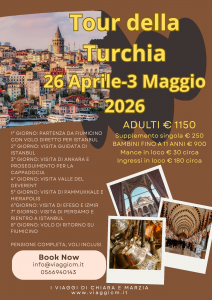 brown-beige-modern-turkey-travel-flyer